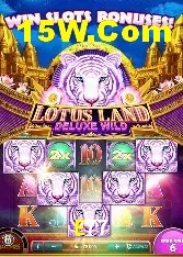 Recursos de Bônus E77